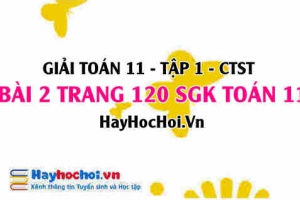 Giải bài 2 trang 120 Toán 11 tập 1 SGK Chân trời sáng tạo
